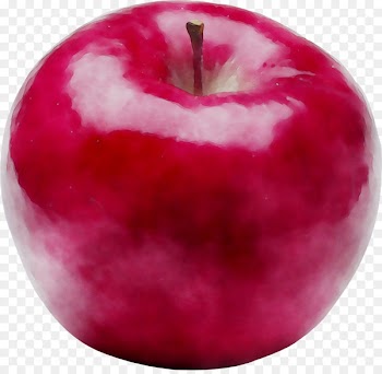 Magenta McIntosh Laboratory -  