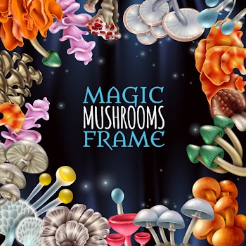 Magic mushrooms frame background Free Vector