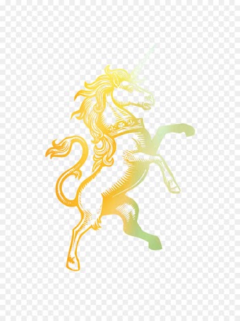 Magic T-shirt YourSurprise Unicorn T-Shirts - Kids - 4years -  