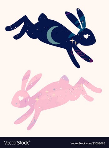 Magical fabulous bunnies are jumping star space vector image