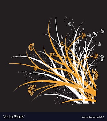 Magical flowers vector image