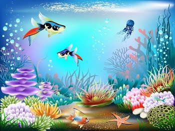 Magnificent Underwater World 02