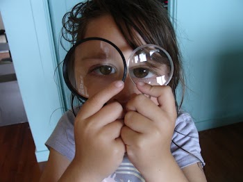 magnify.JPG