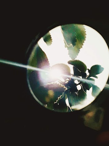 Magnifying Glass