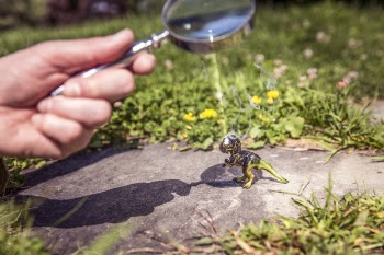 Magnifying Glass &amp; Dinosaur Free Photo 