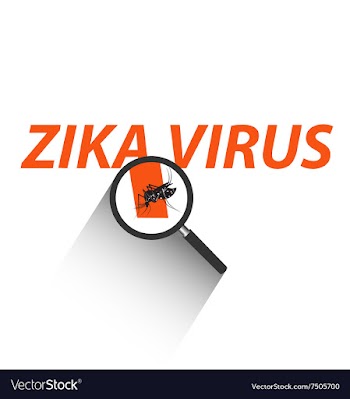  					Magnifying glass on Zika virus text with Mosquito vector image														