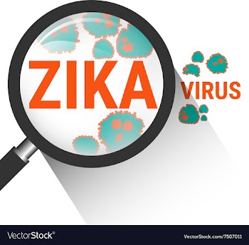 					Magnifying glass with Zika virus vector image														