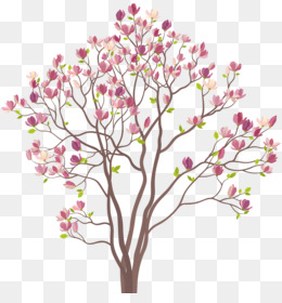 Magnolia Tree PNG - Southern Magnolia Tree.