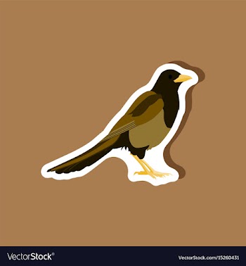 Magpie paper sticker on stylish background vector image