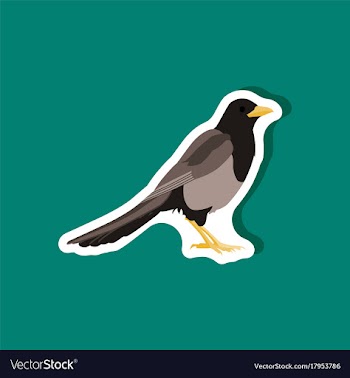 Magpie paper sticker on stylish background vector image