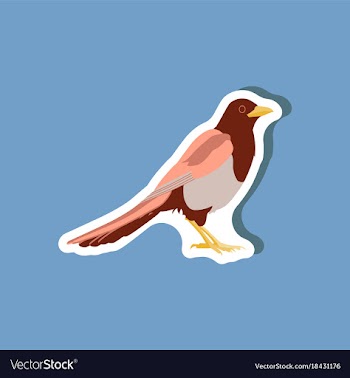 Magpie paper sticker on stylish background vector image