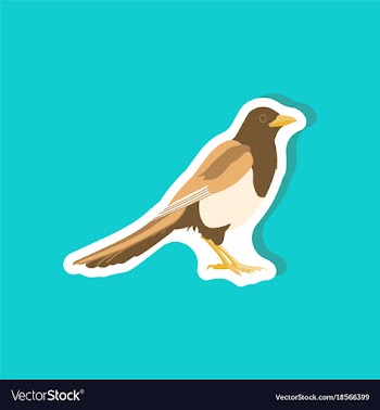 Magpie paper sticker on stylish background vector image