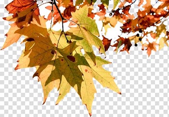 Magyar mese, és mondavilág: ezer év meseköltése Infection Information Desktop , autumn leaves transparent background PNG clipart