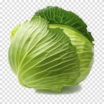 Maharashtra Cauliflower Cabbage Vegetable Capsicum, Cabbage transparent background PNG clipart