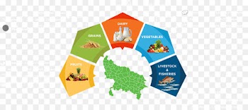 Maharashtrian cuisine Uttar Pradesh Indian cuisine Tamil cuisine Biryani - varanasi graphic 