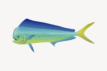 Mahi Mahi fish clipart, sea | Free Vector - rawpixel