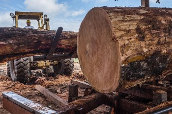 Mahogany wood on excavator, Carmelita, | Free Photo - rawpixel