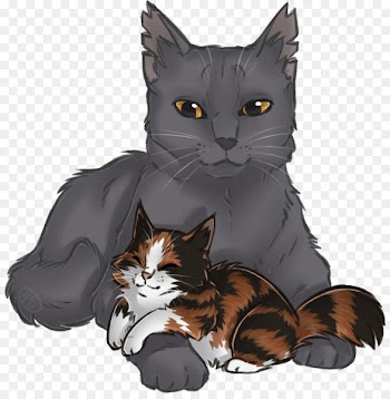 Maine Coon Whiskers Kitten Domestic short-haired cat Tabby cat - kitten 