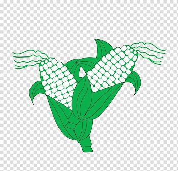 Maize Leaf Illustration, corn transparent background PNG clipart