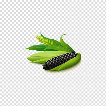 Maize Vegetable Euclidean Food, corn transparent background PNG clipart