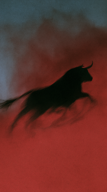 Majestic Black Bull in Motion
