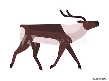 Majestic deer, reindeer flat vector illustration