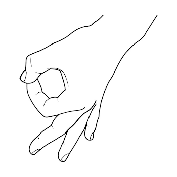 majesticeyesore the-circle-game-gotcha-transparent
