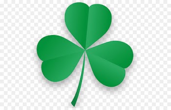 Make Every Day Count - Teen Edition Zealand Asker Book Shamrock - bander symbol 