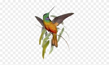 Make Five From One Word Challenge Game - Michel Design Works 14 Count Boxed Notes, Hummingbird