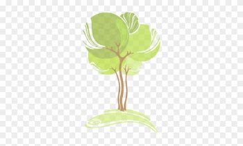 Make The Most Of Nature As Always Been The Main Preoccupation - World International Justice Day