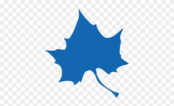 Making A Statement - Indiana State Sycamore Leaf