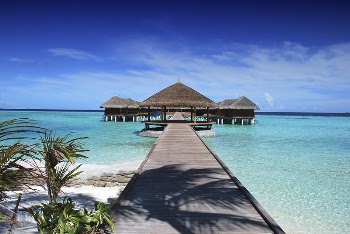 Maldives island. Original public domain | Free Photo - rawpixel