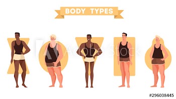 Male body shapes set