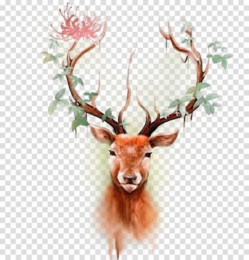 Male deer , Deer Elk Moose Tattoo Paper, Color reindeer head transparent background PNG clipart