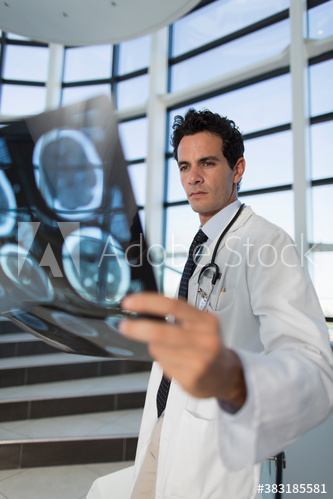 Male doctor examining x-rays in hospital