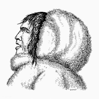 Male eskimo side portrait | Free stock vector - 572904