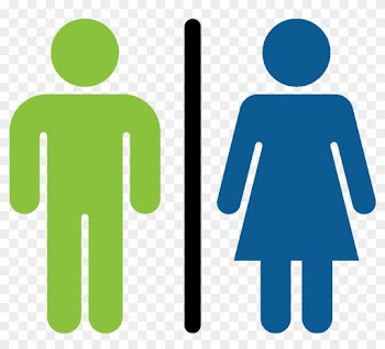 Male Female Taylor Holmes 2017 08 18t20 - Do People Support Socialism