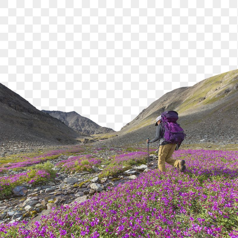 Male hiker png sticker, transparent | Free PNG - rawpixel