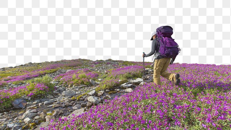 Male hiker png sticker, transparent | Free PNG - rawpixel