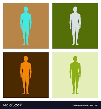 Male human body silhouette with shadow vector image
