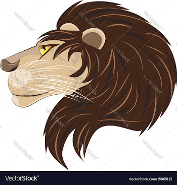 Male lion head vector image