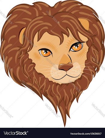 Male lion head vector image