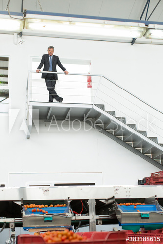 Male manager on top of stairs supervising food processing plant