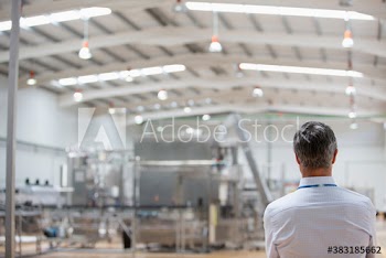 Male manager watching factory floor