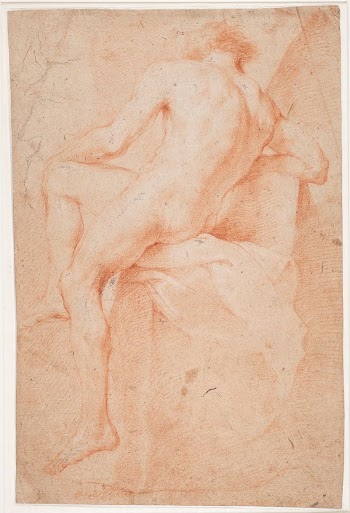 Male model study, seated, rear | Free Photo - rawpixel