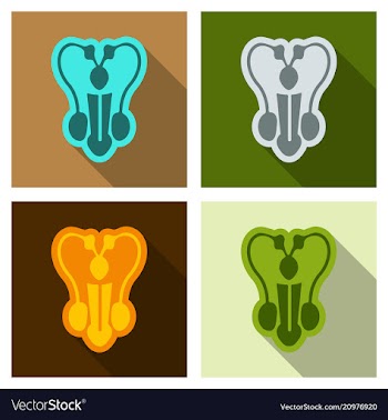 Male reproductive system icon in cartoon style vector image