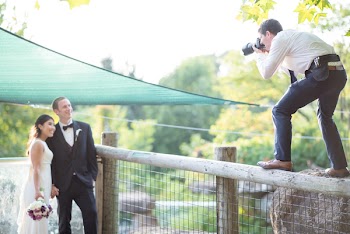 Male Standing On Fence