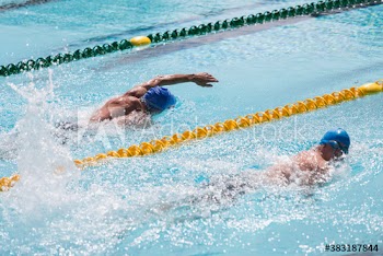 Male swimmers competing in sunny swimming pool