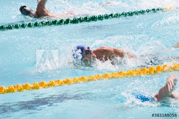 Male swimmers competing in sunny swimming pool
