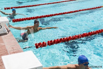 Male swimmers ready in sunny swimming pool